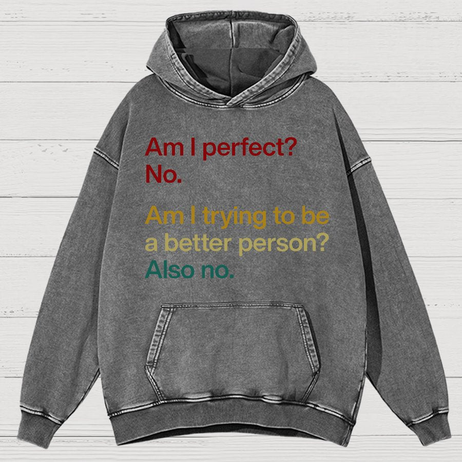 Am I Perfect ？No.Vintage Distressed Hoodie