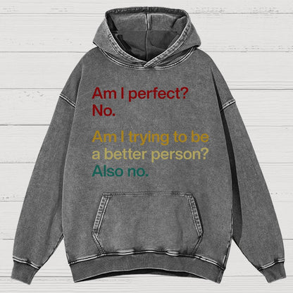 Am I Perfect ？No.Vintage Distressed Hoodie