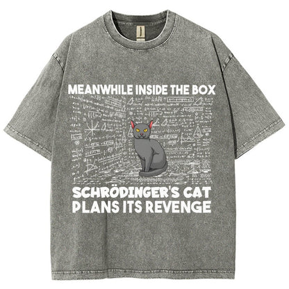 Inside The Box Schrödingers Cat Plans Its Revenge Vintage Distressed T-shirt