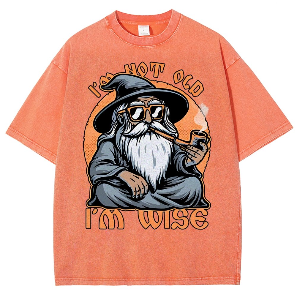 Wise Old Wizard Vintage Distressed T-shirt