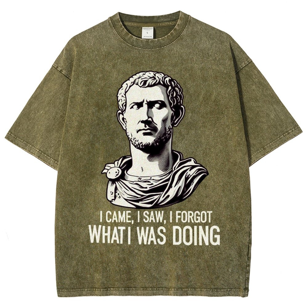 I Came  I saw  I forgot What I was Doing Vintage Distressed T-shirt