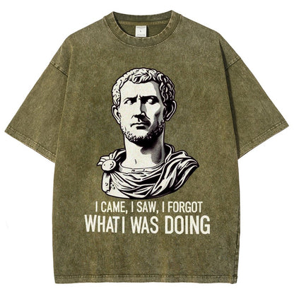 I Came  I saw  I forgot What I was Doing Vintage Distressed T-shirt