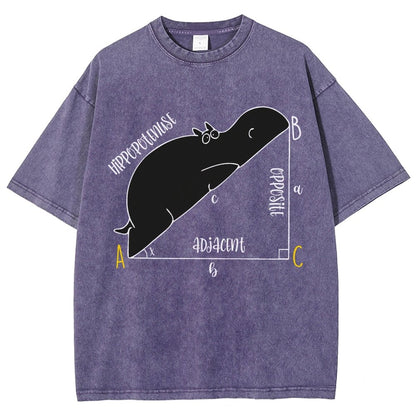Interesting Math Teacher Math Lover Math Geek Vintage Distressed T-shirt