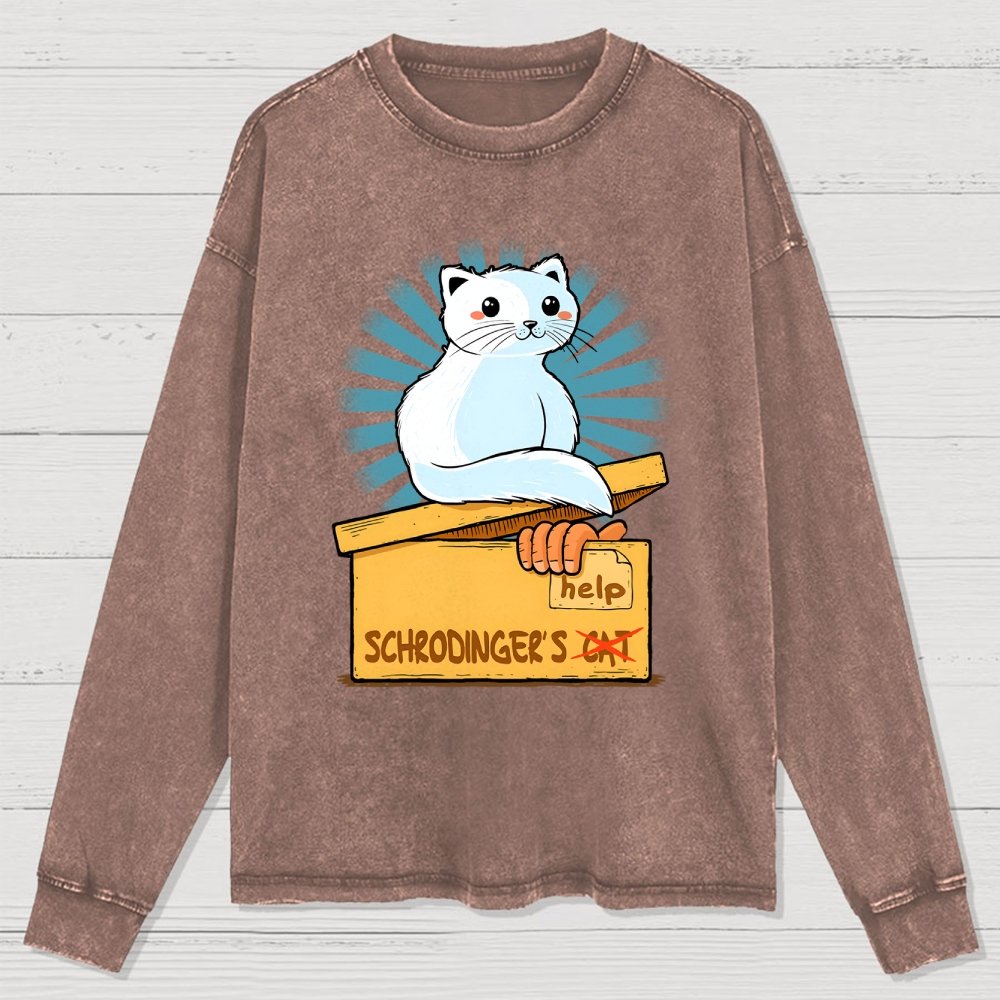Schrodinger in a Box Washed Long Sleeve Tee