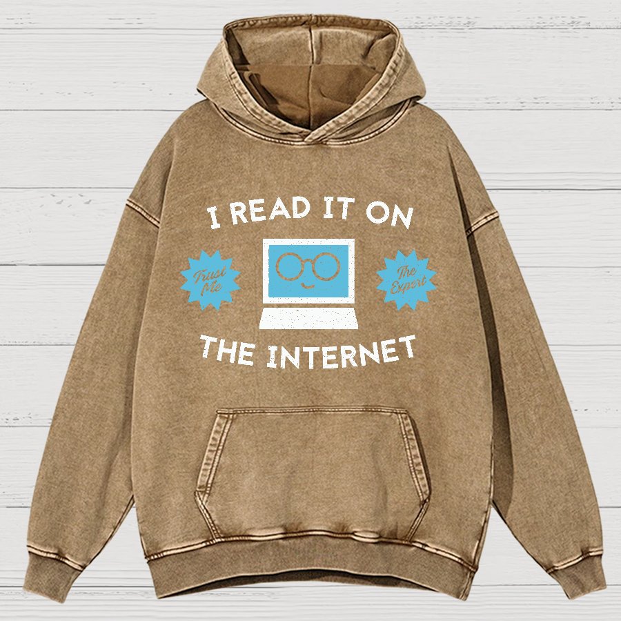 I'm An Internet Expert Vintage Distressed Hoodie