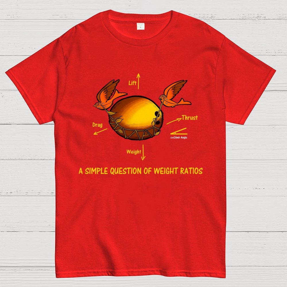 A Simple Question Of Weight Ratios Geek T-Shirt