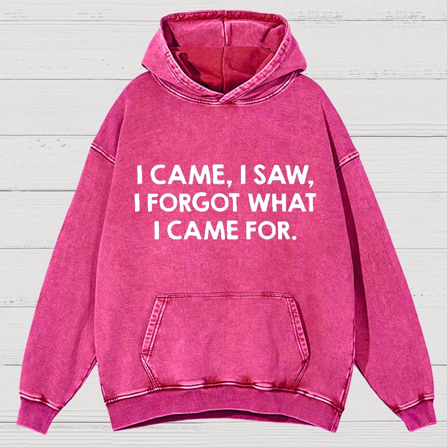 I Came and Saw Funny  Vintage Distressed Hoodie
