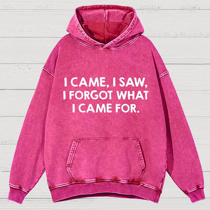 I Came and Saw Funny  Vintage Distressed Hoodie