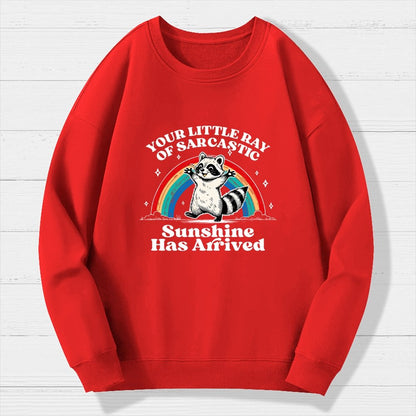 Your Little Ray of Sarcastic Sunshine Has Arrived Geek Cotton Sweatshirt