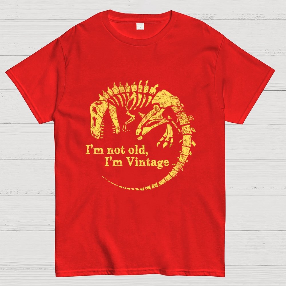 I'm Not Old I'm Vintage Geek T-Shirt