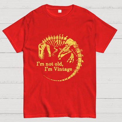 I'm Not Old I'm Vintage Geek T-Shirt