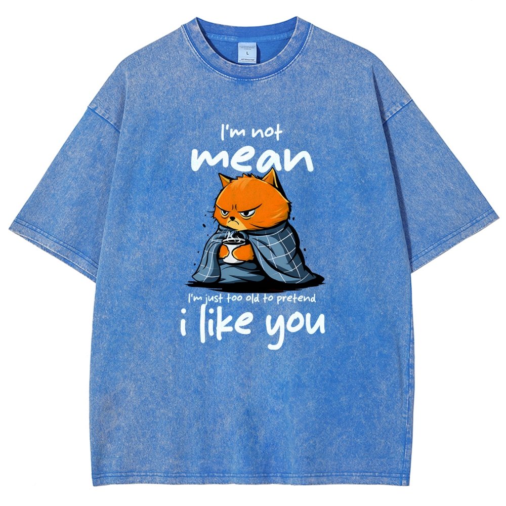 I Am Not Mean Vintage Distressed T-shirt