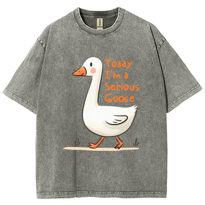 Today I’m A Serious Goose Vintage Distressed T-shirt