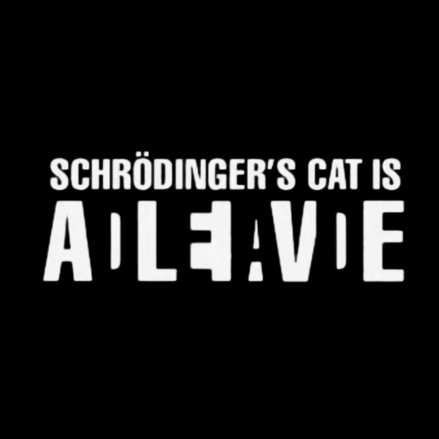 Schrodinger's Сat Science Vintage Distressed Washed Tank