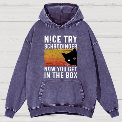 You Get Schrodinger's cat In The Box Vintage Distressed Hoodie