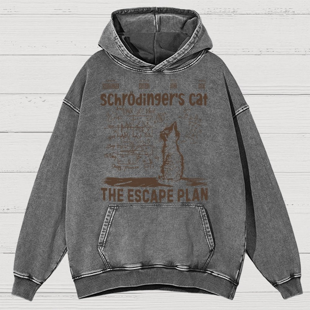 Schrodinger's Cat Escape Plan Interesting Physics Science Vintage Distressed Hoodie
