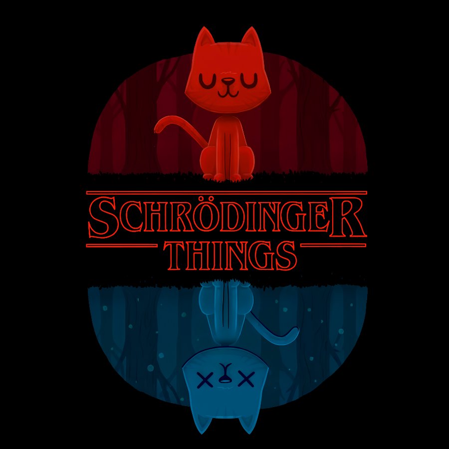 Schrödinger Things. A Perfect Geeky T-Shirt