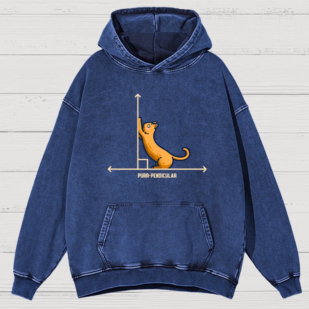 Purr-Pendicular Cute Maths Cat Premium Vintage Distressed Hoodie