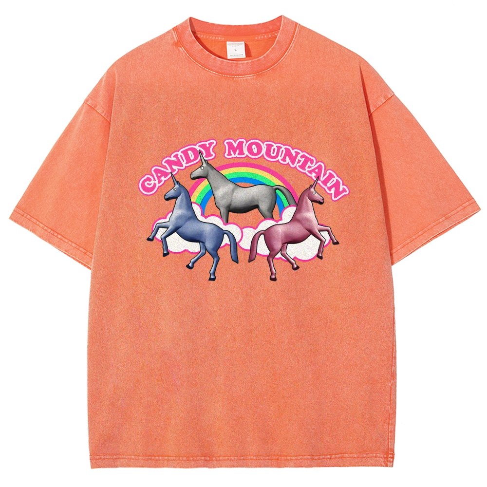 Candy Mountain Vintage Distressed T-shirt