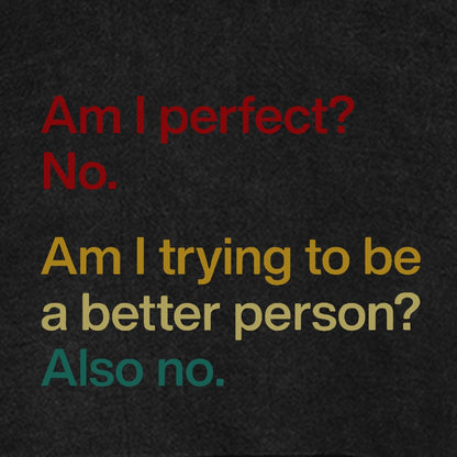 Am I Perfect ？No.Vintage Distressed Hoodie