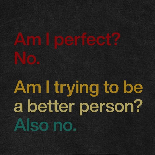 Am I Perfect ？No.Vintage Distressed Hoodie