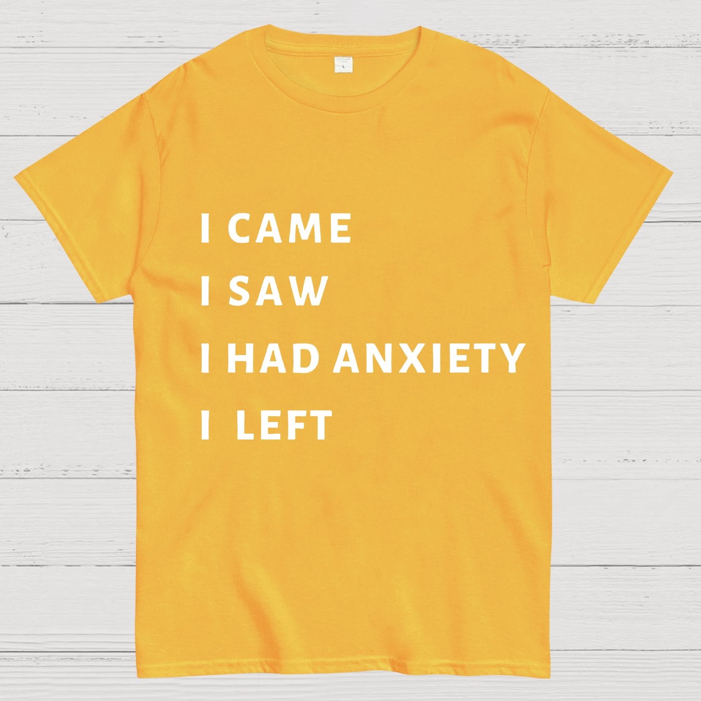 I Came I Saw I Had Anxiety I Left Geeky T-Shirt