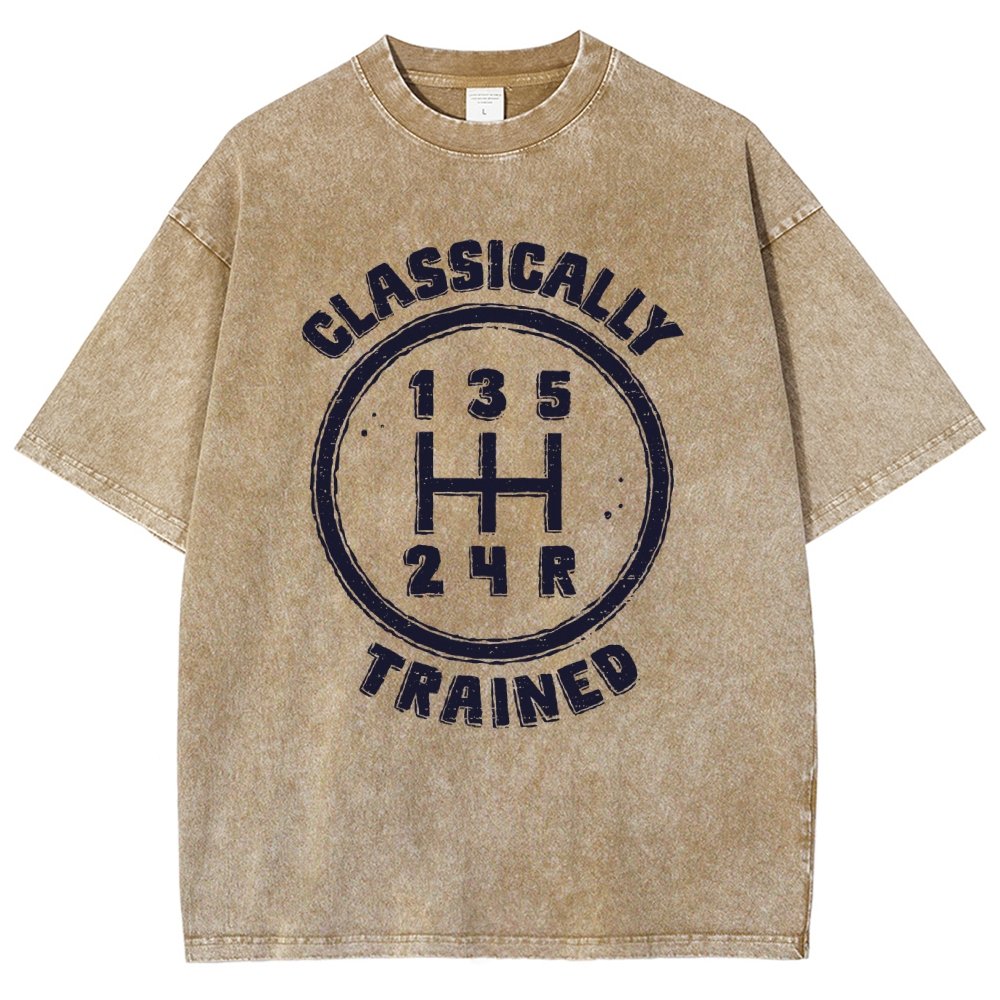 Classically Trained Vintage Distressed T-shirt