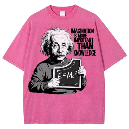 Imagination is more important than knowledge Vintage Distressed T-shirt