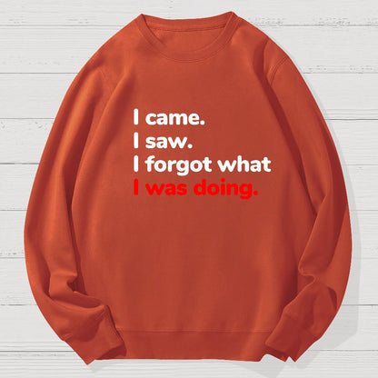 I Came. I Saw. I Forgot What I Was Doing Geek Cotton Sweatshirt