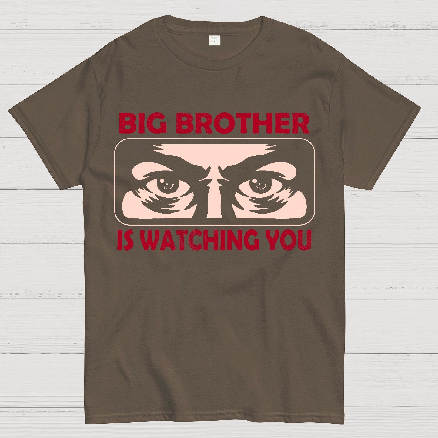 Ministry Of Truth Big Brother Is Watching You Sarcasm Geek T-Shirt