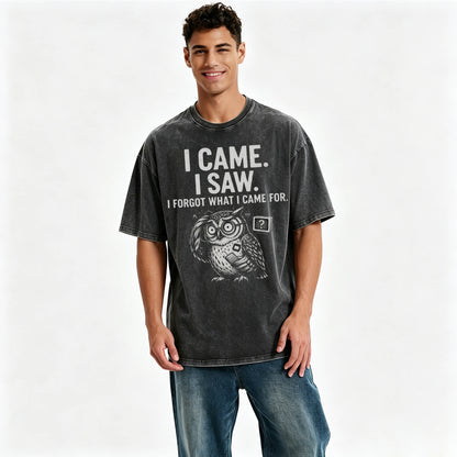 I Came. I Saw. I Forgot What I Came For. Funny Owl Vintage T-Shirt