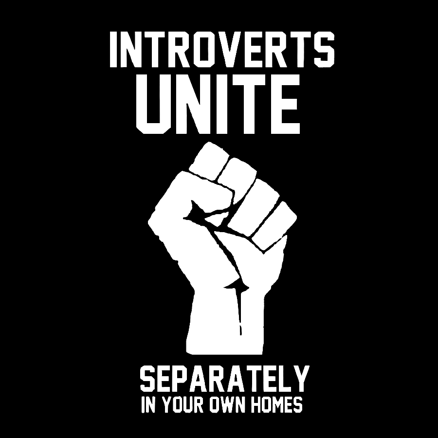Introverts Unite Geek Washed Long Sleeve Tee