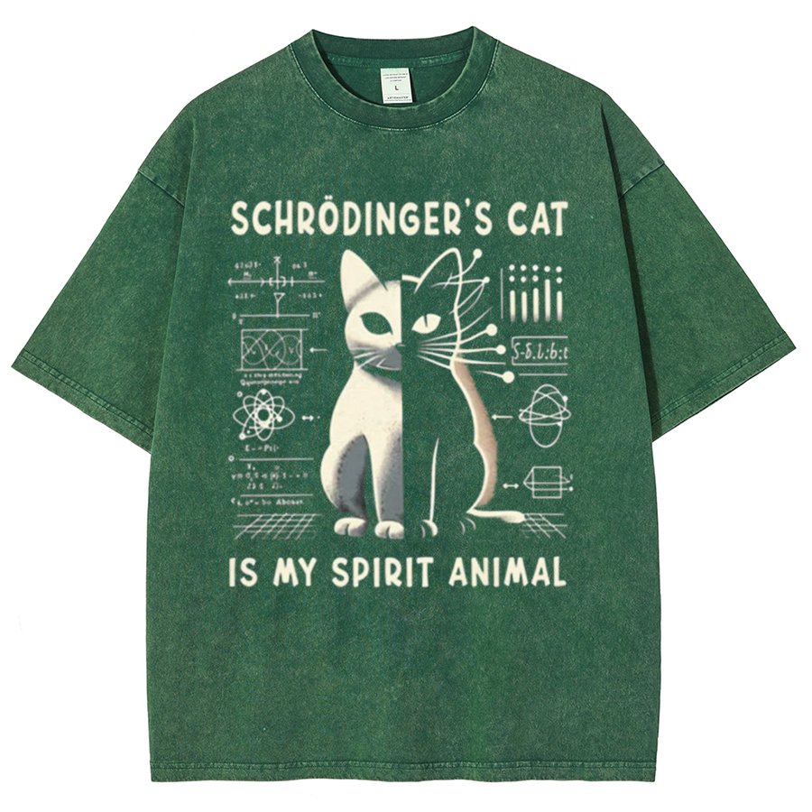 Schrodinger's Сat Science Vintage Distressed T-shirt
