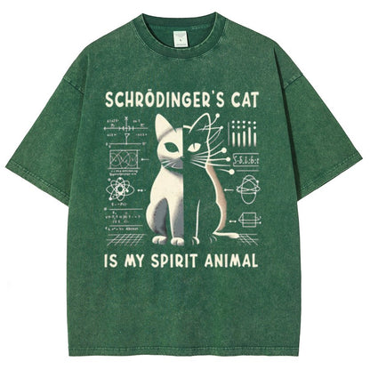 Schrodinger's Сat Science Vintage Distressed T-shirt