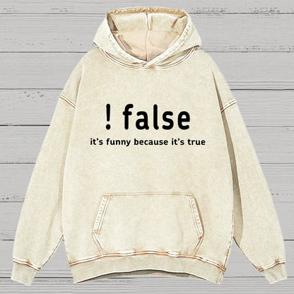 False It's Funny Because It's True Vintage Distressed Hoodie
