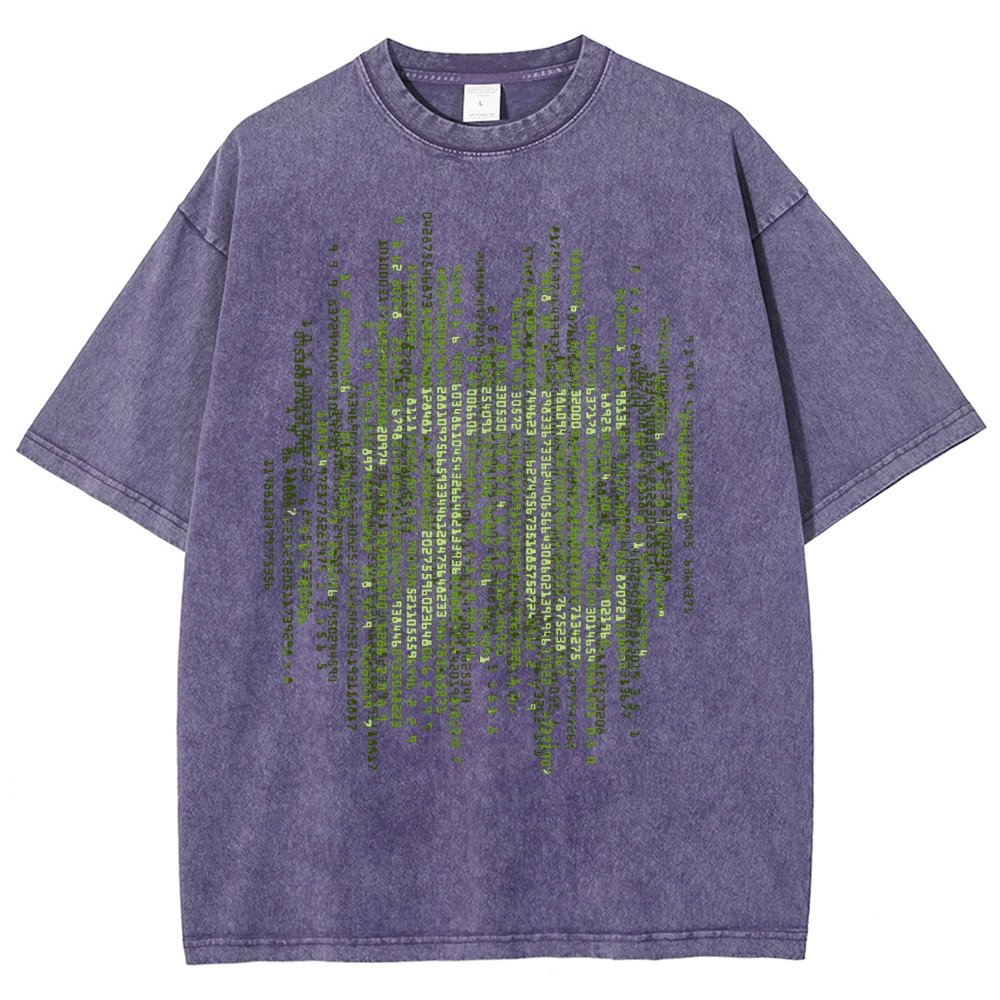 Enter The Pi Vintage Distressed T-shirt