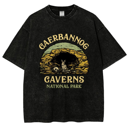Mystic Caverns National Park Vintage Distressed T-shirt
