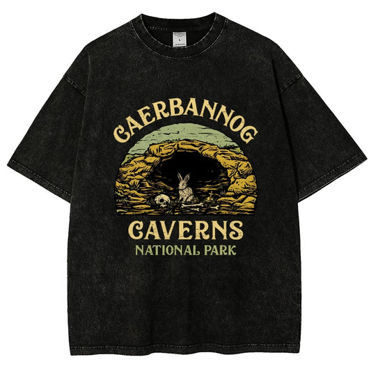 Mystic Caverns National Park Vintage Distressed T-shirt