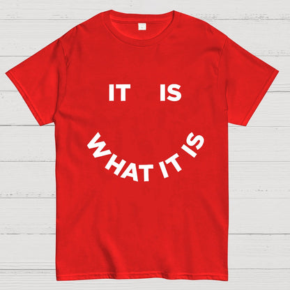 It Is What It Is Geeky T-Shirt