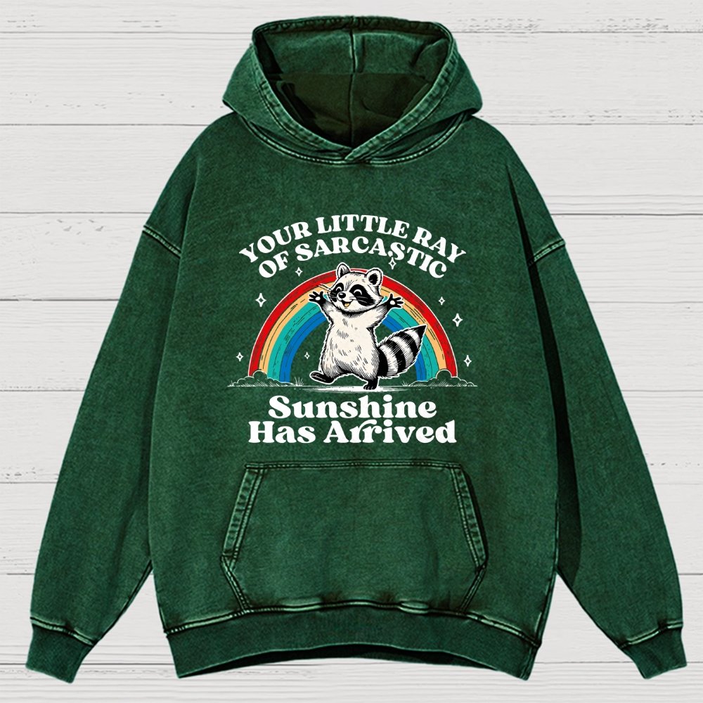 Your Little Ray of Sarcastic Sunshine Has Arrived Vintage Distressed Hoodie
