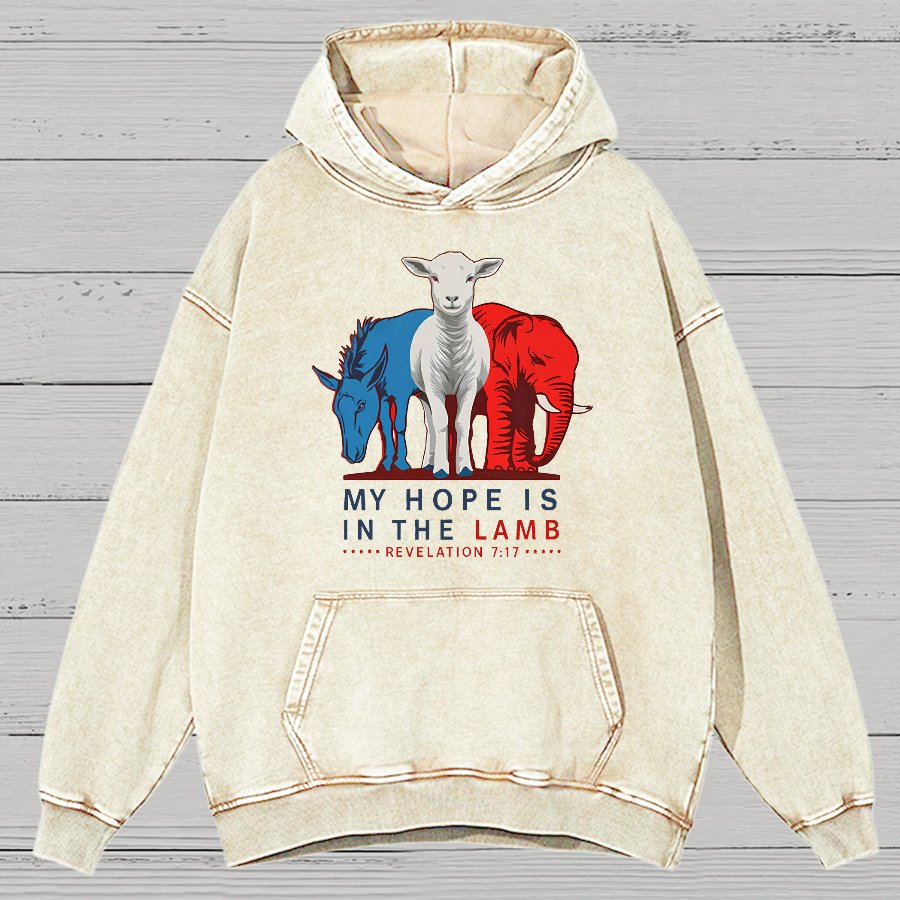 My Hope Is In The Lamb Vintage Distressed Hoodie