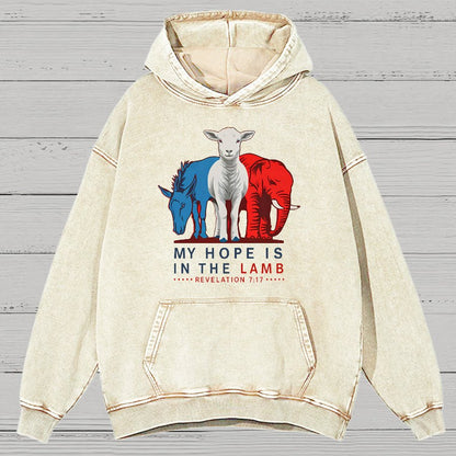 My Hope Is In The Lamb Vintage Distressed Hoodie