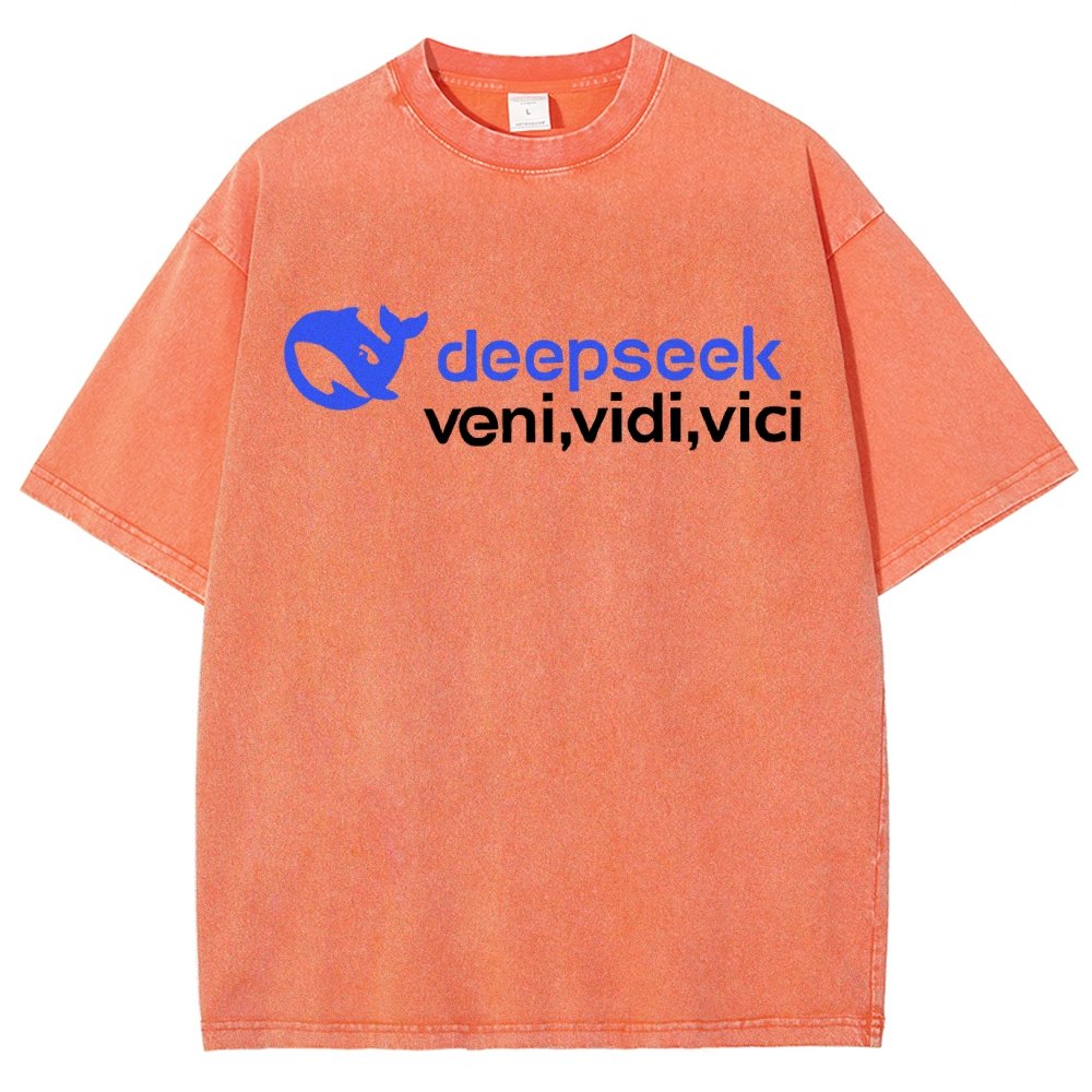 Deepseek R1 Graphic Vintage Distressed T-shirt