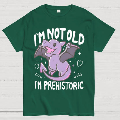 I'm Not Old I Am Prehistoric Geek T-Shirt