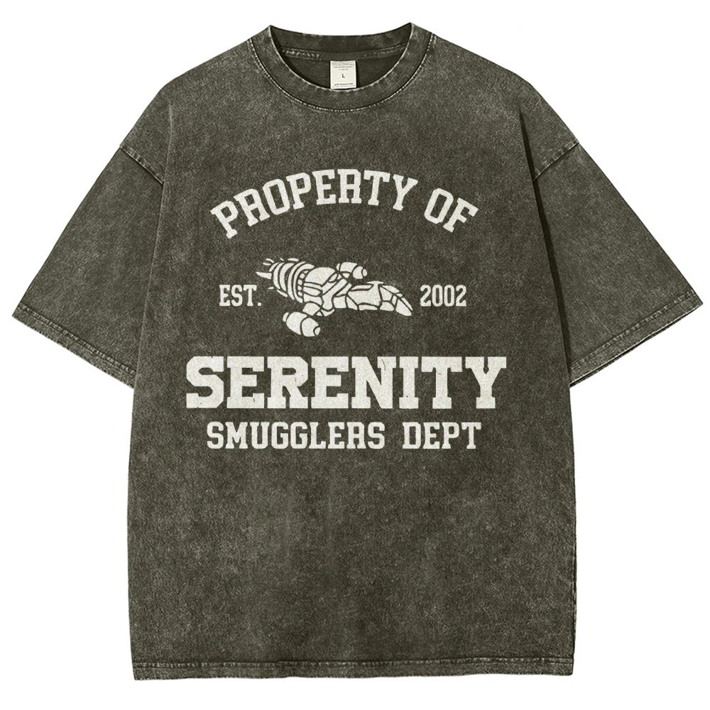 Property of Starlight Vintage Distressed T-shirt