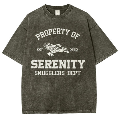 Property of Starlight Vintage Distressed T-shirt