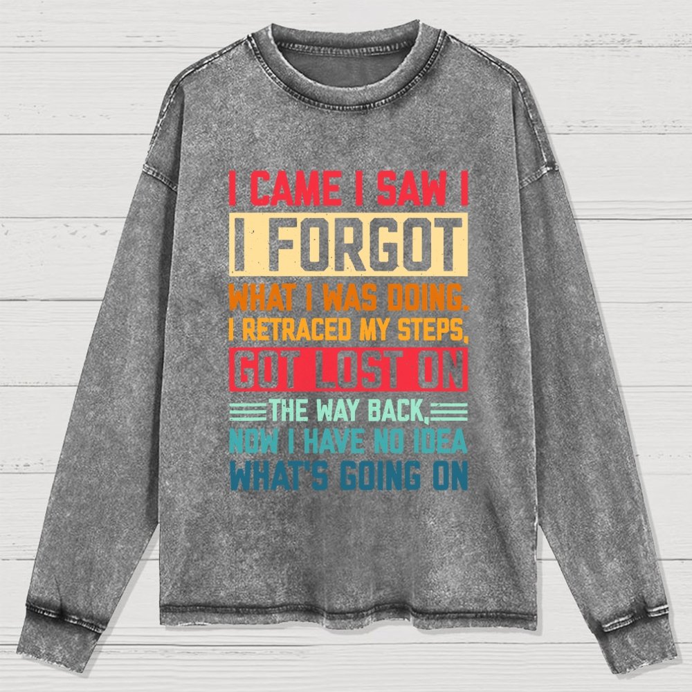 I Came I Saw I Forgot What I Was Doing Sarcastic Washed Long Sleeve Tee