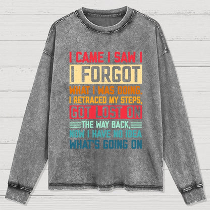 I Came I Saw I Forgot What I Was Doing Sarcastic Washed Long Sleeve Tee