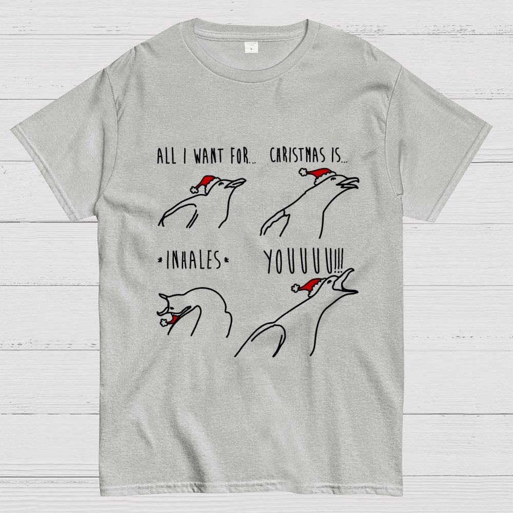 All I Want For Christmas Is You Geek T-Shirt