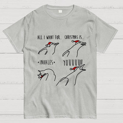 All I Want For Christmas Is You Geek T-Shirt